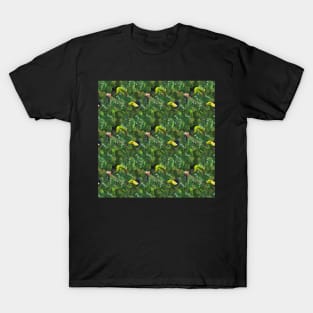 jungle life, toekan birds T-Shirt